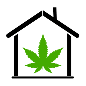 Cannabis Health & Wellbeing