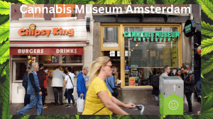 Cannabis Museum Amsterdam