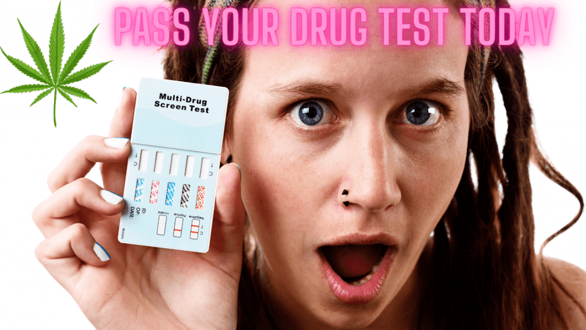 Drug Test Detox Kits