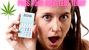 Drug Test Tasmania