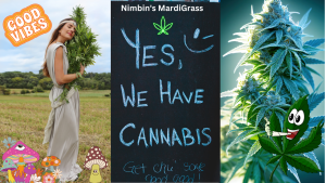 Mardi Grass Nimbin 