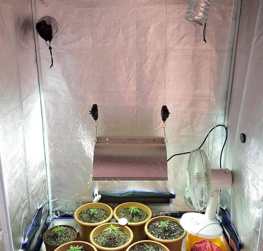 Grow Tents Cheap