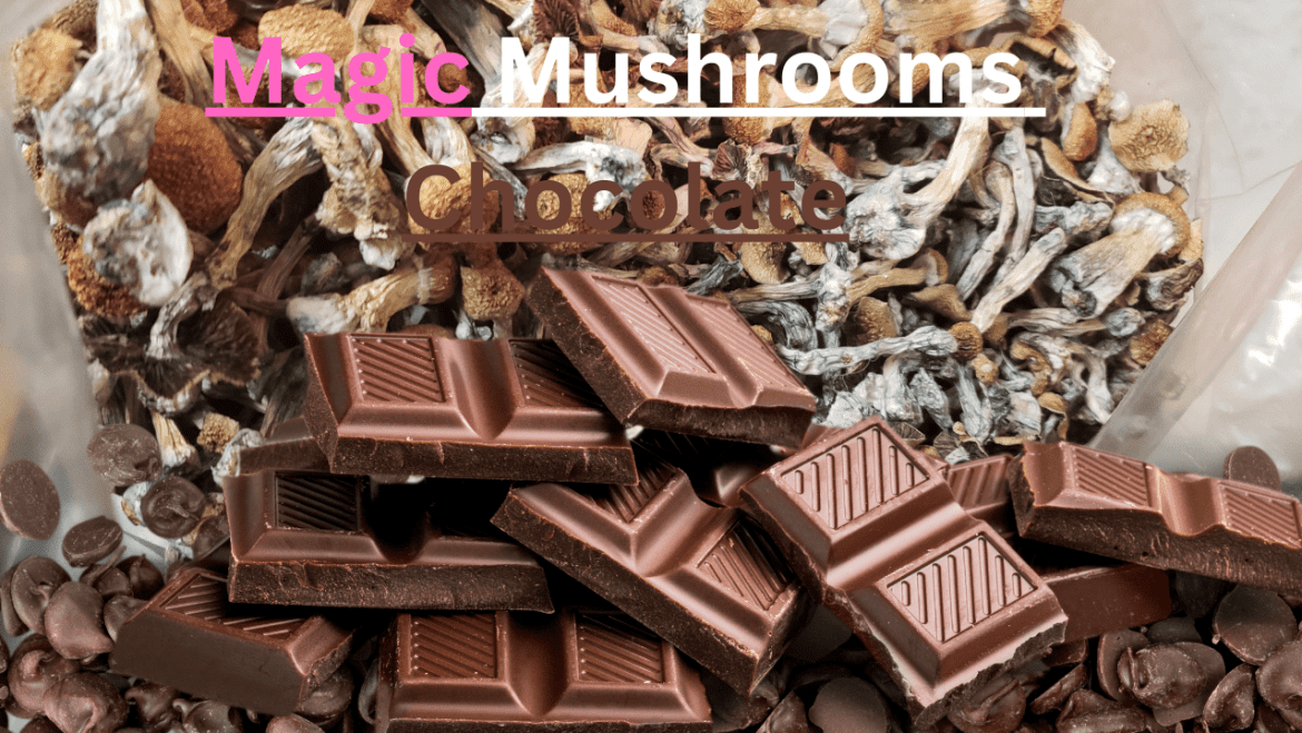 Magic Mushrooms Chocolate