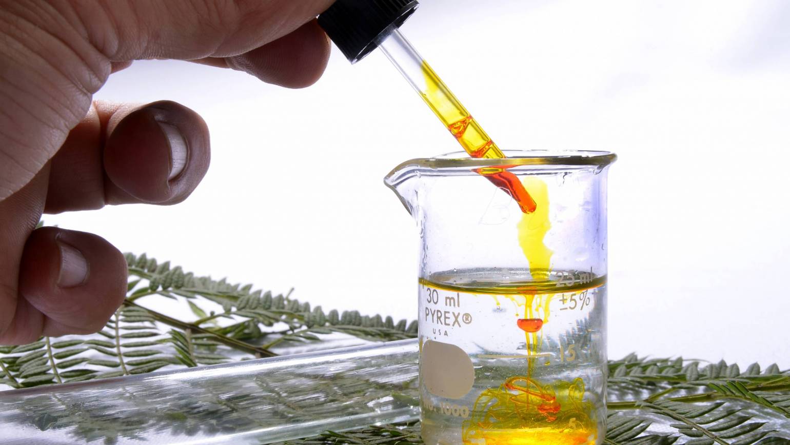 CBD Oil Extraction