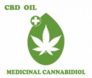 Hemp vs Cannabidiol