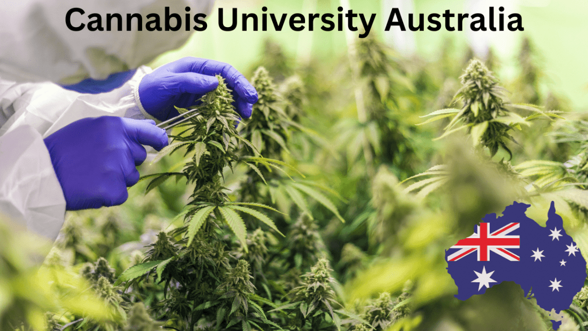 Cannabis University Australia