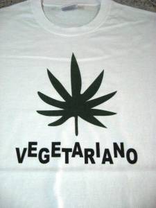 Hemp Tshirt