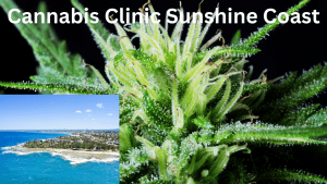 Cannabis Clinic Sunshine Coast