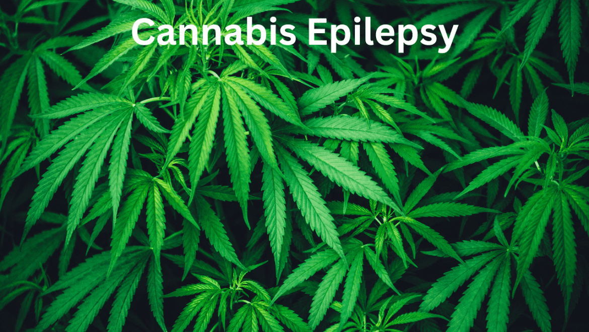 Cannabis Epilepsy