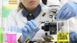 Cannabis Laboratory Equipment