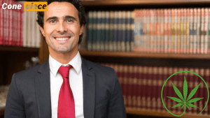 Cannabis Lawyer