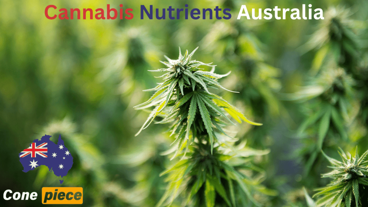 Cannabis Nutrients Australia
