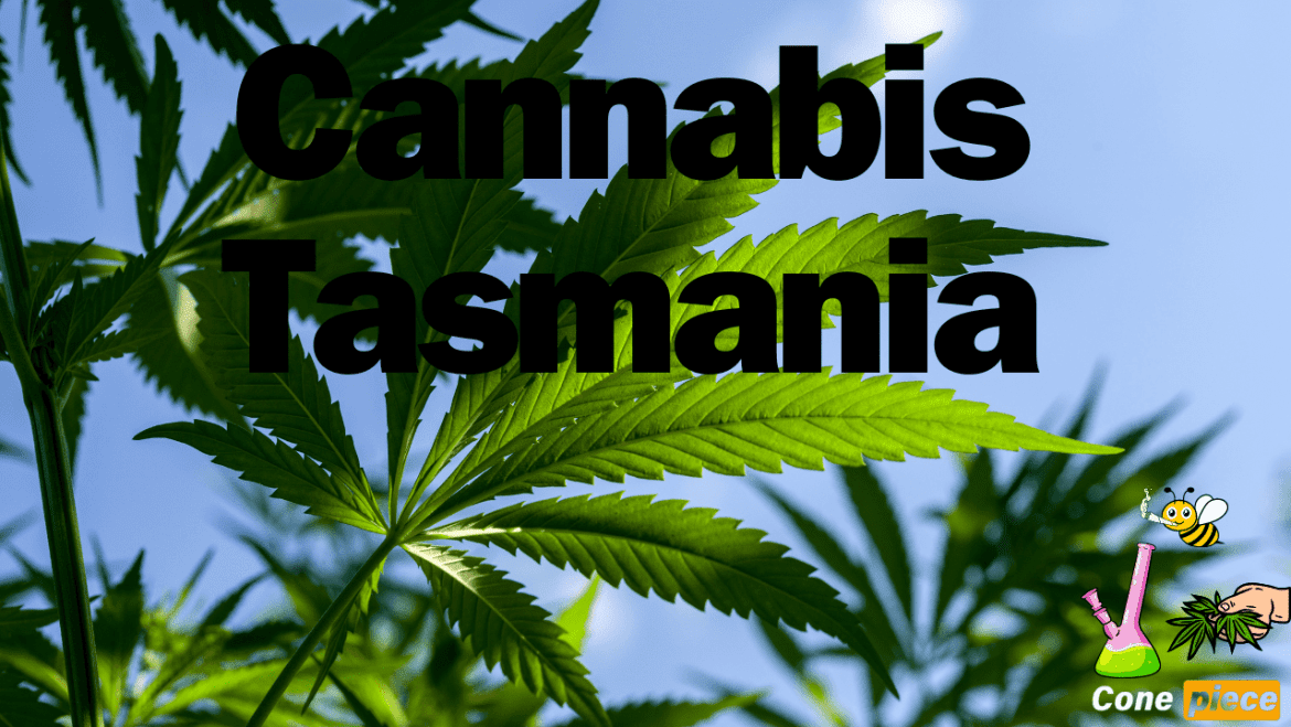 Cannabis Tasmania