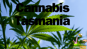 Cannabis Tasmania