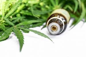 does cannabidiol get you high