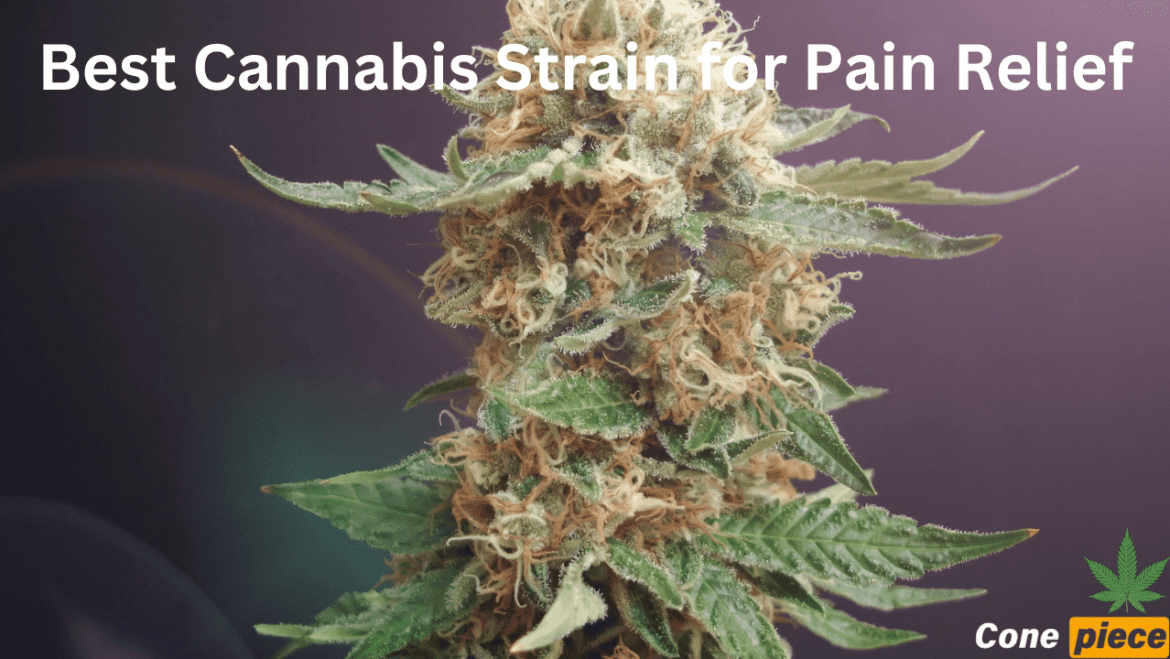 Best Cannabis Strain for Pain Relief