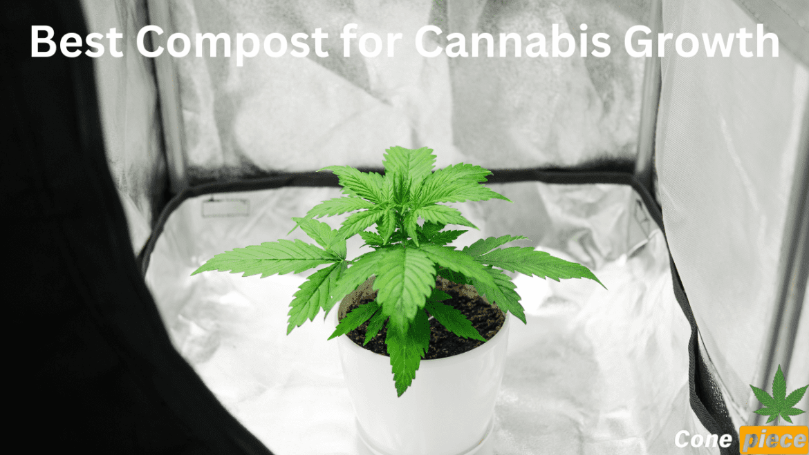 Best Compost for Cannabis Growth