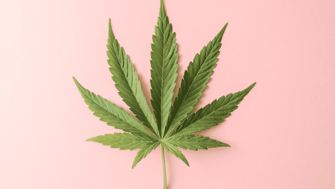 Can Cannabis Treat Anxiety