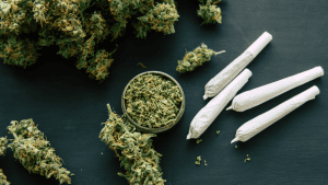 Can Cannabis Make You Lose Weight